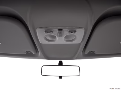 2016 Ram ProMaster City courtesy lamps/ceiling controls